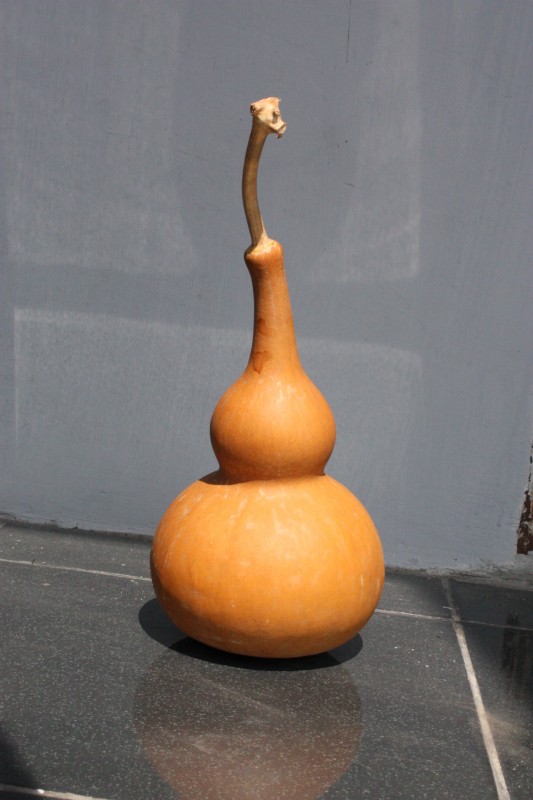 IMG_1103 [Desktop Resolution]